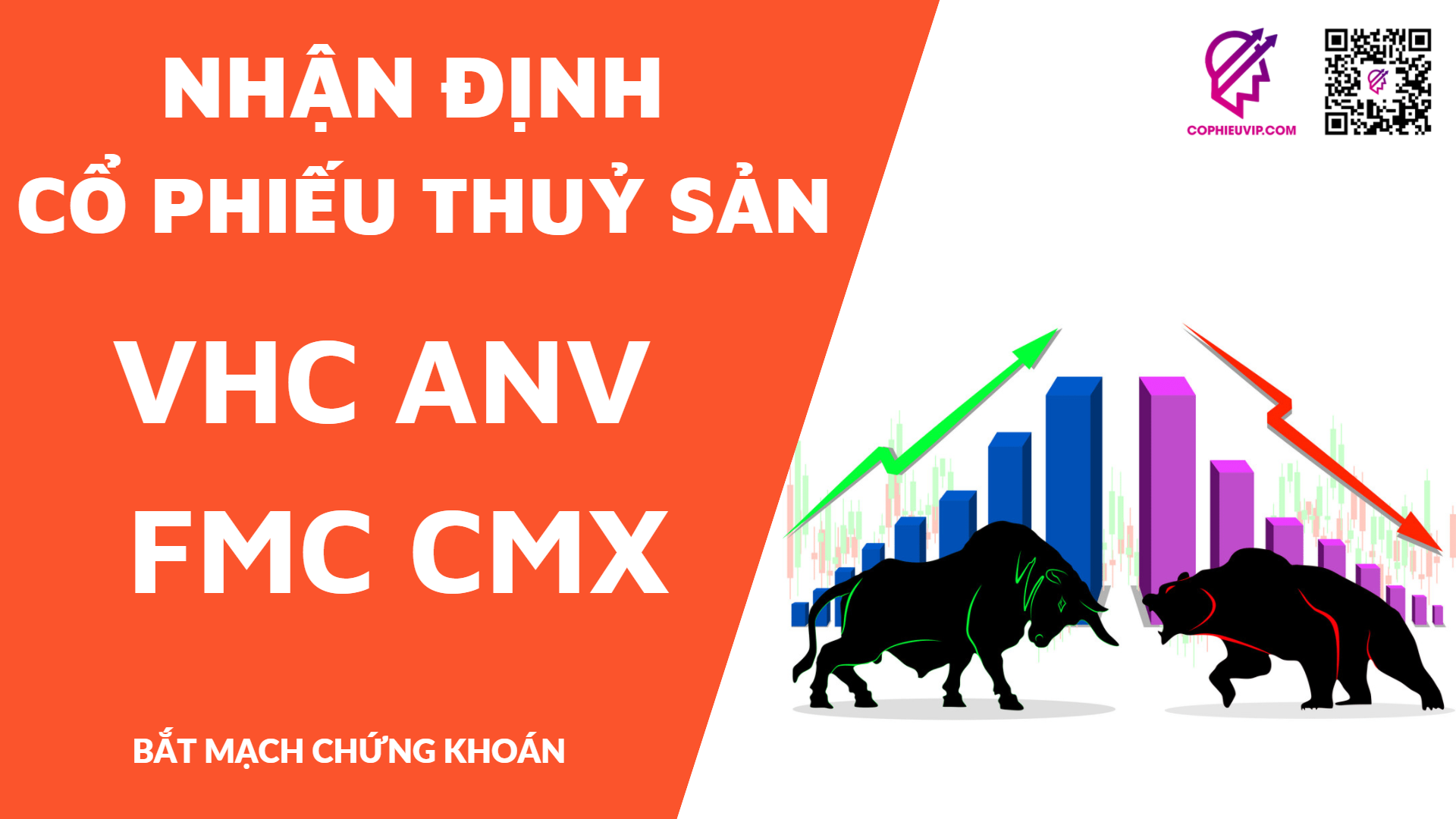 Nhận định cổ phiếu thuỷ sản: VHC ANV FMC CMX