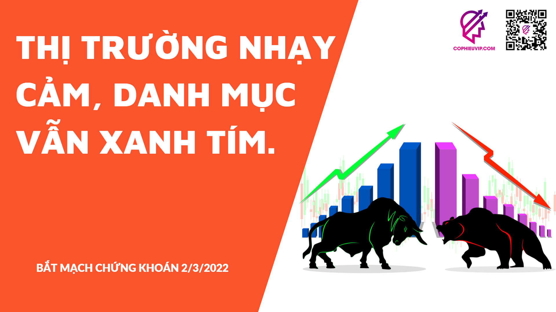 BẮT MẠCH CHỨNG KHOÁN 2/3/2022: Thị trường nhạy cảm, danh mục vẫn xanh tím.