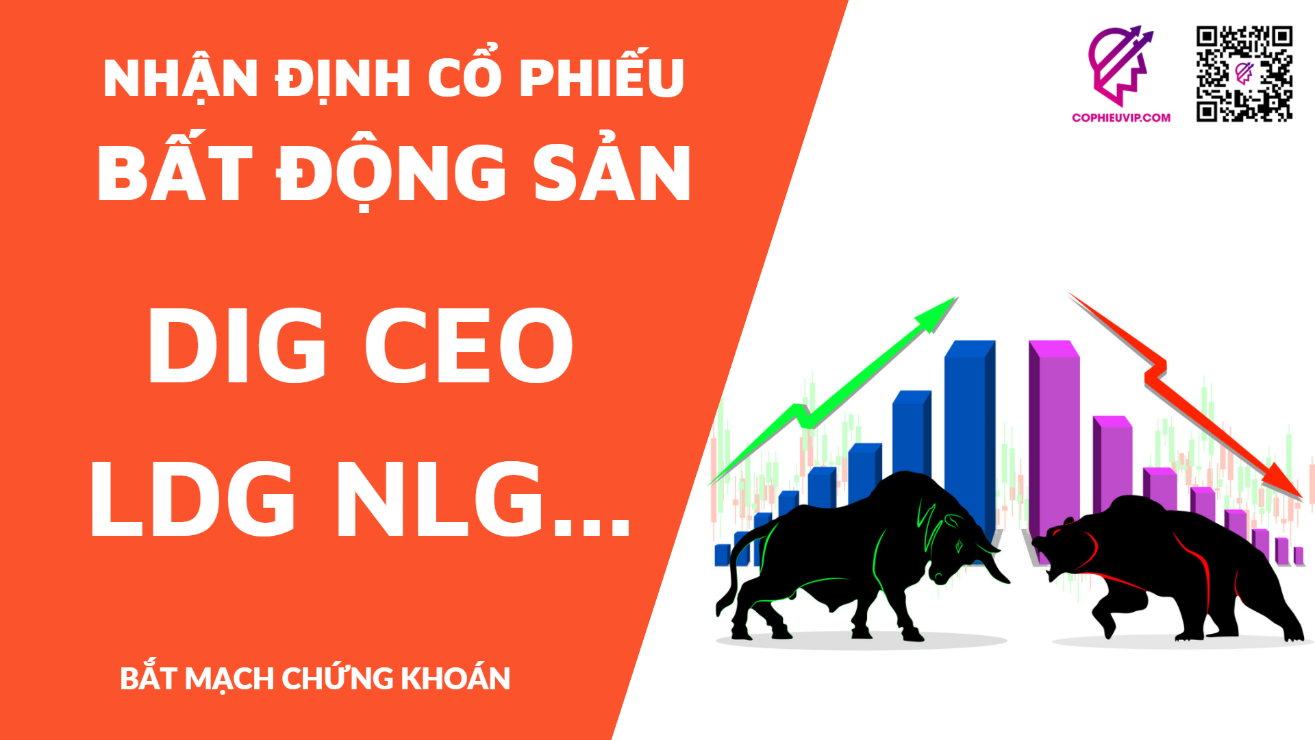 Nhận định cổ phiếu Bất Động Sản: DIG CEO LDG NLG L14