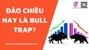 BẮT MẠCH CHỨNG KHOÁN 20/9/2022: Đảo chiều hay là bull trap?