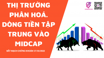 BẮT MẠCH CHỨNG KHOÁN 17/10/2022: Thị trường phân hoá. Dòng tiền tập trung vào Midcap