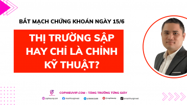 Bắt mạch chứng khoán ngày 15/6: Thị trường sập hay chỉ là chỉnh kỹ thuật?