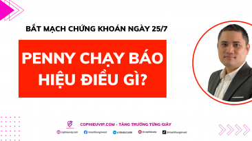 Bắt mạch chứng khoán ngày 25/7: Penny chạy báo hiệu điều gì?