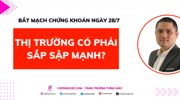 Bắt mạch chứng khoán tháng 8: Thị trường sẽ thế nào trong tháng 8?