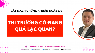 Bắt mạch chứng khoán ngày 1/8: Thị trường có đang quá lạc quan?