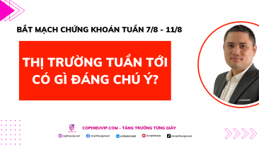 Bắt mạch chứng khoán tuần 7/8 - 11/8: Thị trường tuần tới có gì đáng chú ý?