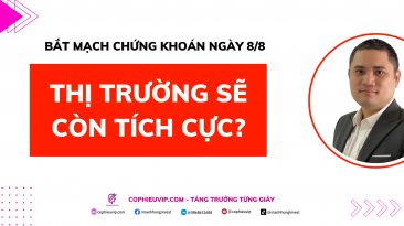 Bắt mạch chứng khoán ngày 8/8: Thị trường sẽ còn tích cực?