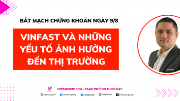 Bắt mạch chứng khoán ngày 9/8: VINFAST và những yếu tố ảnh hưởng đến thị trường