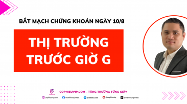 Bắt mạch chứng khoán ngày 10/8: Thị trường trước giờ G