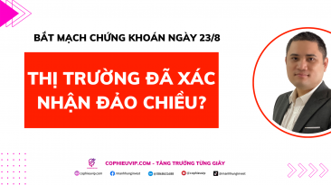 Bắt mạch chứng khoán 23/8: Thị trường đã xác nhận đảo chiều?