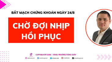 Bắt mạch chứng khoán 24/8: Chờ đợi nhịp hồi phục