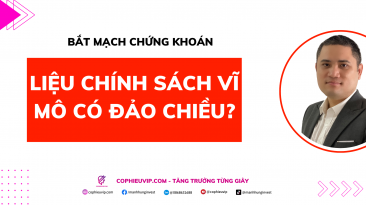 Bắt mạch chứng khoán: Liệu chính sách vĩ mô có đảo chiều?