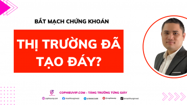 Bắt mạch chứng khoán: Thị trường đã tạo đáy?