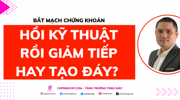 Bắt mạch chứng khoán: Hồi kỹ thuật rồi giảm tiếp hay tạo đáy?