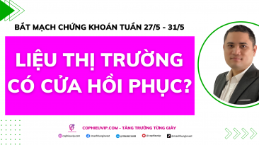 Bắt mạch chứng khoán tuần 27/5 - 31/5: Liệu thị trường có cửa hồi phục?