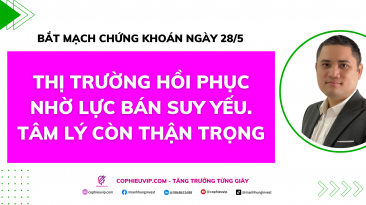 Bắt mạch chứng khoán ngày 28/5: Thị trường hồi phục nhờ lực bán suy yếu. Tâm lý còn thận trọng