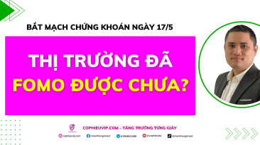 Bắt mạch chứng khoán ngày 17/5: Thị trường đã FOMO được chưa?