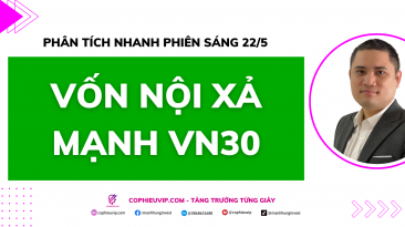 Phân tích nhanh phiên sáng 22/5: Vốn nội xả mạnh VN30