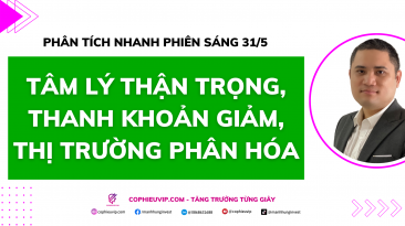 Phân tích nhanh phiên sáng 31/5: Tâm lý thận trọng, thanh khoản giảm, thị trường phân hóa