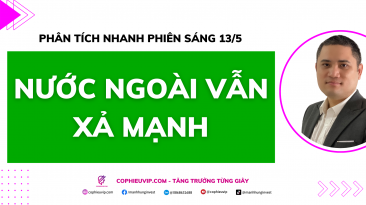 Phân tích nhanh phiên sáng 13/5: Nước ngoài vẫn xả mạnh