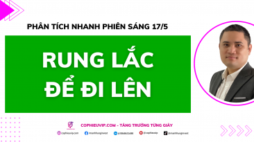 Phân tích nhanh phiên sáng 17/5: Rung lắc để đi lên