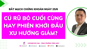 Bắt mạch chứng khoán ngày 25/6: Cú rũ bỏ cuối cùng hay Khởi đầu xu hướng giảm?