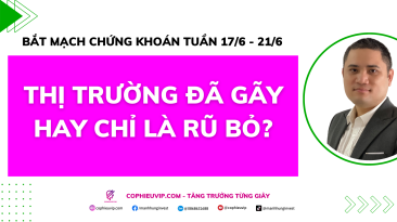 Bắt mạch chứng khoán tuần 17/6 - 21/6: Thị trường đã gãy hay chỉ là rũ bỏ?