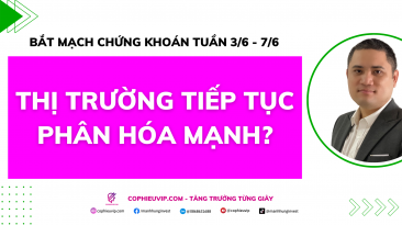 Bắt mạch chứng khoán tuần 3/6 - 7/6: Thị trường tiếp tục phân hóa mạnh?