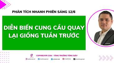 Phân tích nhanh phiên sáng