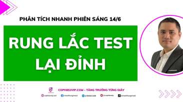 Phân tích nhanh phiên sáng 14/6: Rung lắc test lại đỉnh