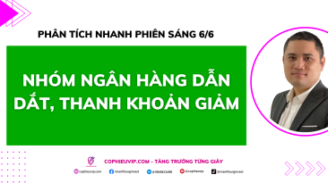 Phân tích nhanh phiên sáng 6/6: Nhóm ngân hàng dẫn dắt, thanh khoản giảm