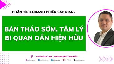 Phân tích nhanh phiên sáng 24/6: Bán tháo sớm, tâm lý bi quan dần hiện hữu