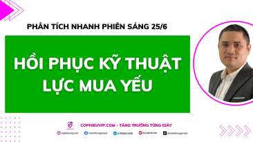 Phân tích nhanh phiên sáng 25/6: Hồi phục kỹ thuật, lực mua yếu