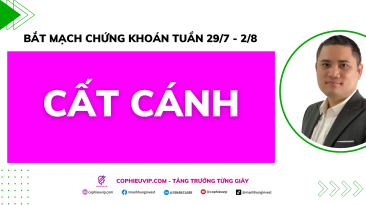 Bắt mạch chứng khoán tuần 29/7-2/8: CẤT CÁNH