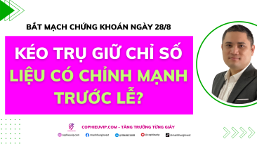 Bắt mạch chứng khoán ngày 28/8: Kéo trụ giữ chỉ số, liệu có chỉnh mạnh trước lễ?