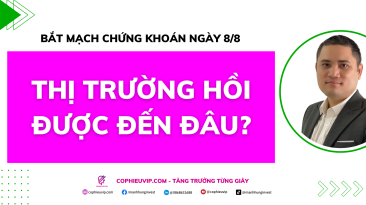 Bắt mạch chứng khoán ngày 8/8: Thị trường hồi được đến đâu?