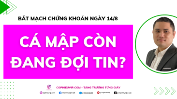 Bắt mạch chứng khoán ngày 14/8: Cá mập còn đang đợi tin?