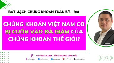 Bắt mạch chứng khoán tuần 5/8 - 9/8: Chứng khoán Việt Nam có bị cuốn vào đà giảm của chứng khoán thế giới?