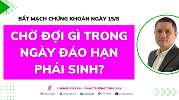 Bắt mạch chứng khoán ngày 15/8: Chờ đợi gì trong ngày đáo hạn phái sinh?