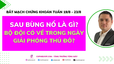 Bắt mạch chứng khoán tuần 19/8 - 23/8: Sau bùng nổ là gì? Bộ đội có về trong ngày giải phóng thủ đô?