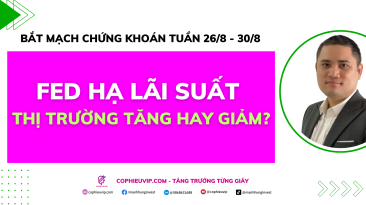 Bắt mạch chứng khoán tuần 26/8 - 30/8: FED hạ lãi suất, thị trường tăng hay giảm?