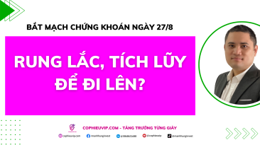 Bắt mạch chứng khoán ngày 27/8: Rung lắc, tích lũy để đi lên?