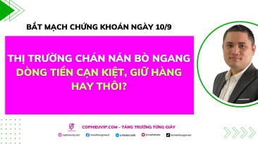 Bắt mạch chứng khoán ngày 10/9: Thị trường chán nản bò ngang. Dòng tiền cạn kiệt, giữ hàng hay thôi?