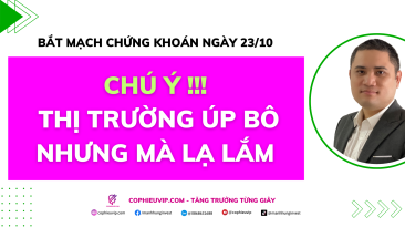 Bắt mạch chứng khoán ngày 23/10: Chú ý !!! Thị trường úp bô nhưng mà lạ lắm