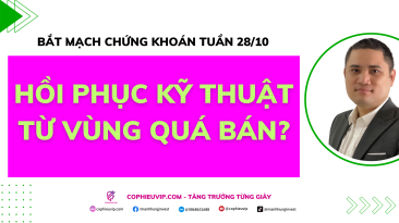 Bắt mạch chứng khoán tuần 28/10: Hồi phục kỹ thuật từ vùng quá bán?