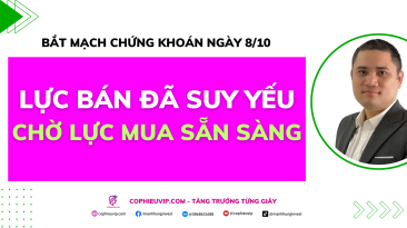 Bắt mạch chứng khoán ngày 8/10: Lực bán đã suy yếu, Chờ Lực mua sẵn sàng