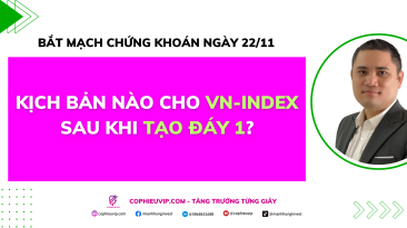 Bắt mạch chứng khoán ngày 22/11: Kịch bản nào cho VN-Index sau khi tạo đáy 1?