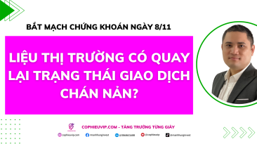 Bắt mạch chứng khoán ngày 8/11: Liệu thị trường có quay lại trạng thái giao dịch chán nản?