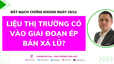 Bắt mạch chứng khoán ngày 15/11: Liệu thị trường có vào giai đoạn ép bán xả lũ?