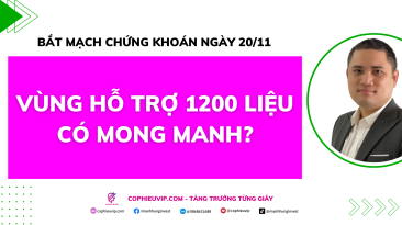 Bắt mạch chứng khoán ngày 20/11: Vùng hỗ trợ 1200 liệu có mong manh?